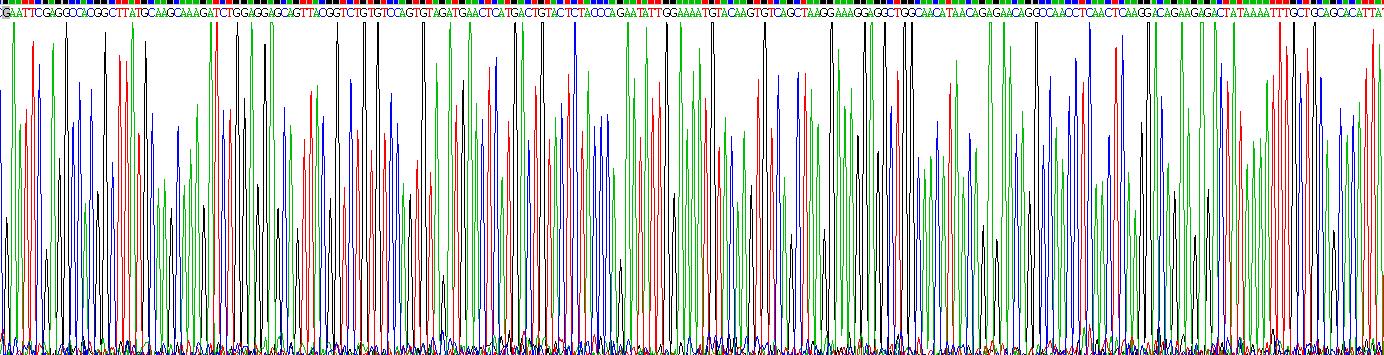 Figure. Gene Sequencing (extract)
