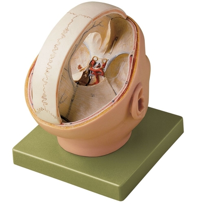 Product Illustration
