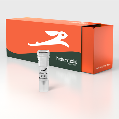 4X CAPITAL™ qPCR Probe Master Mix - 200 reactions of 20 µl
