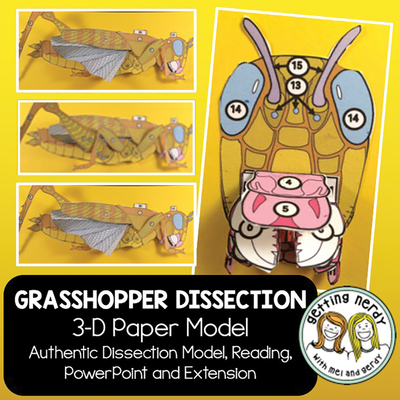 Scienstructable 3D Dissection Model®: Grasshopper Paper Dissection, EA ...