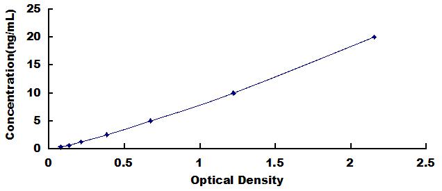 Typical Standard Curve for MMP12 ELISA (Sandwich)