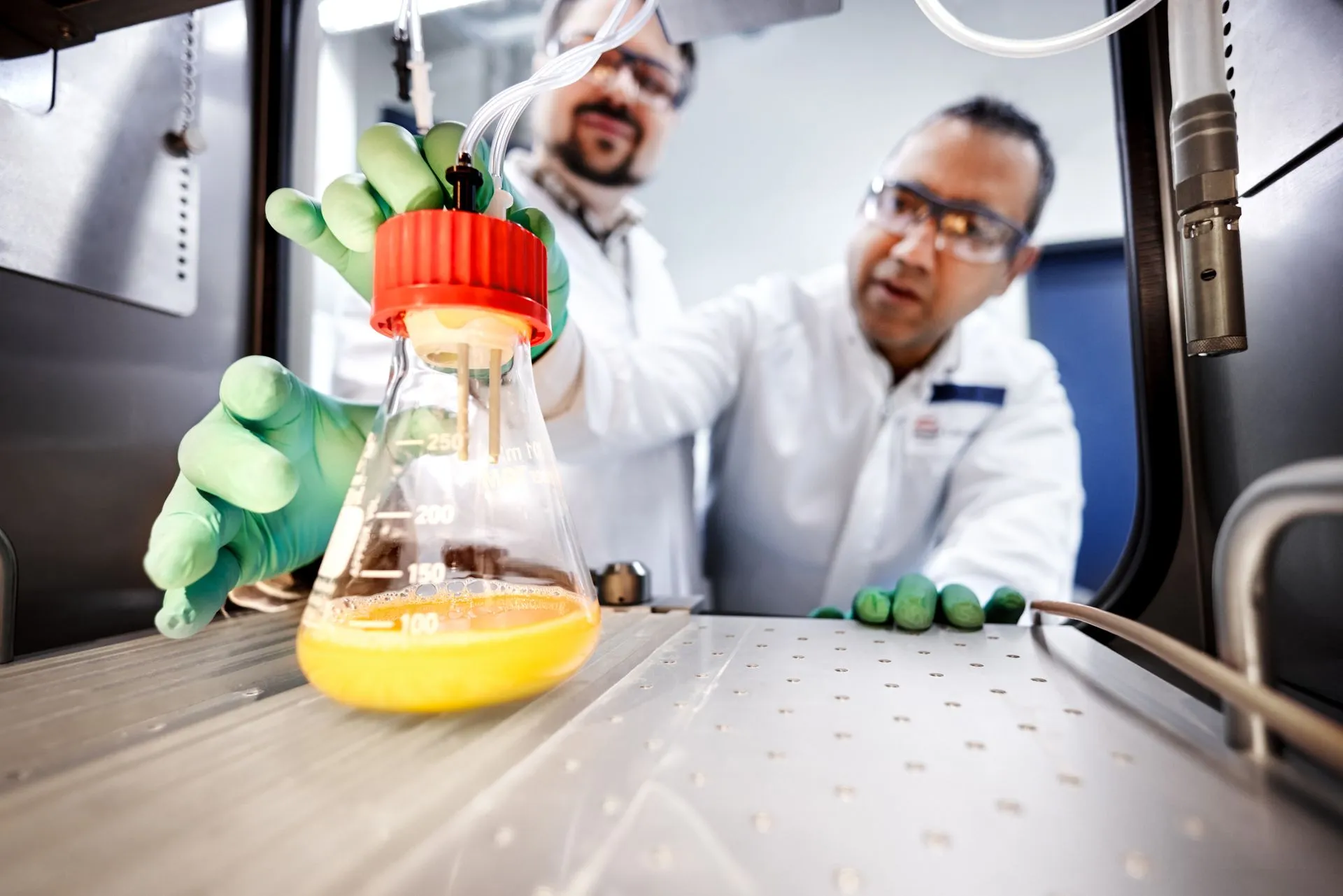 ALiCE® as a Service - The protein production team working to produce complex proteins in mg quantities as part of ALiCE® as a Service.