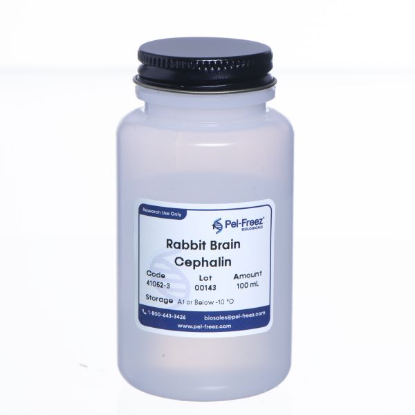 Rabbit Brain Cephalin