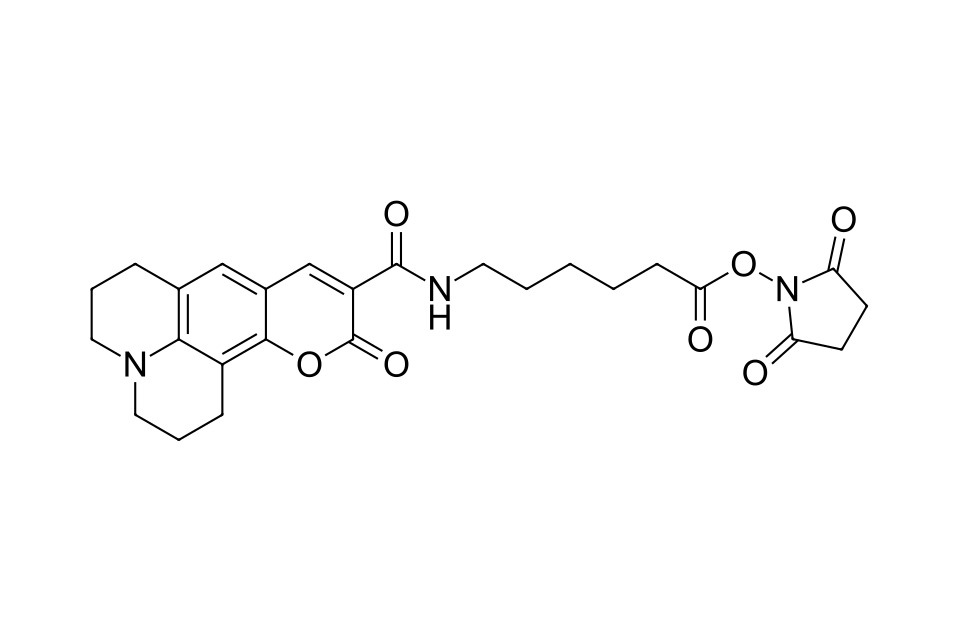 Coumarin 343 X NHS ester