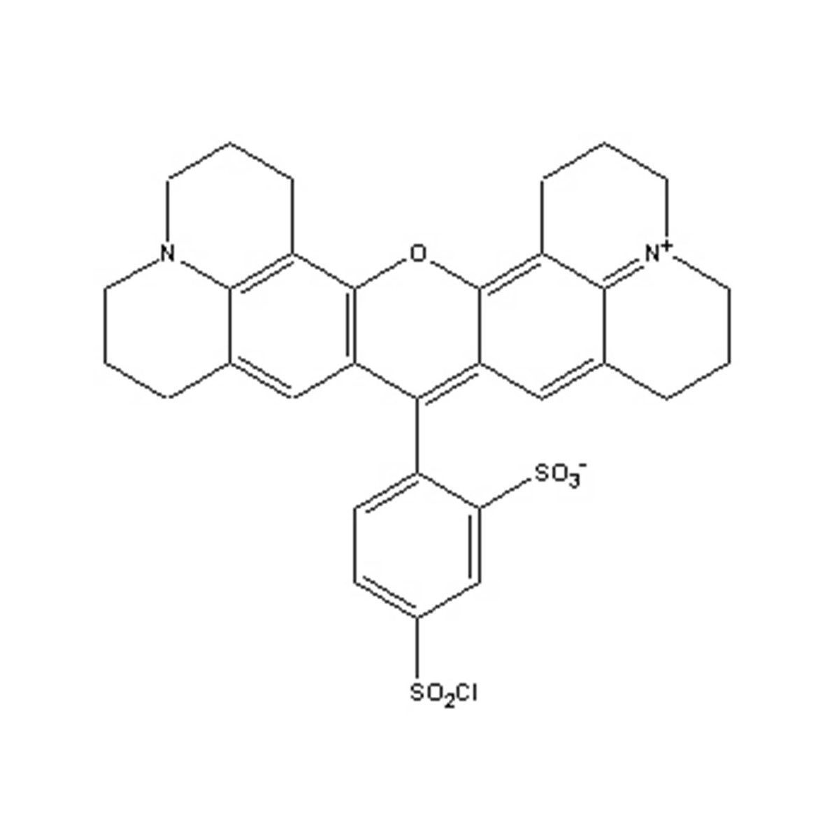 Sulforhodamine 101 sulfonyl chloride - 10 mg