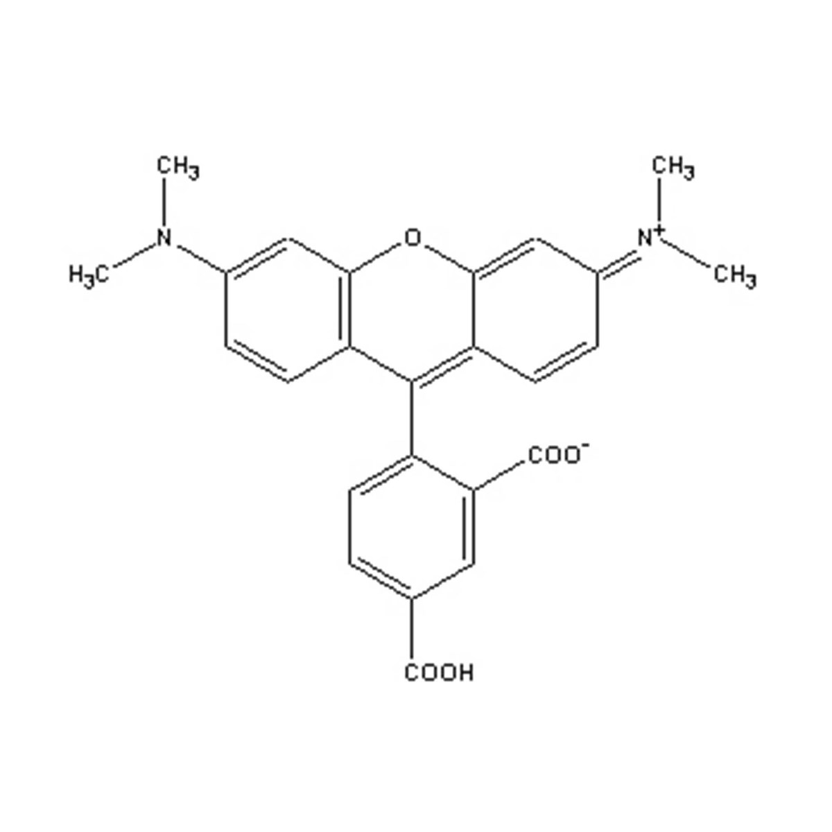 5-TAMRA [5-Carboxytetramethylrhodamine] "Formulated"