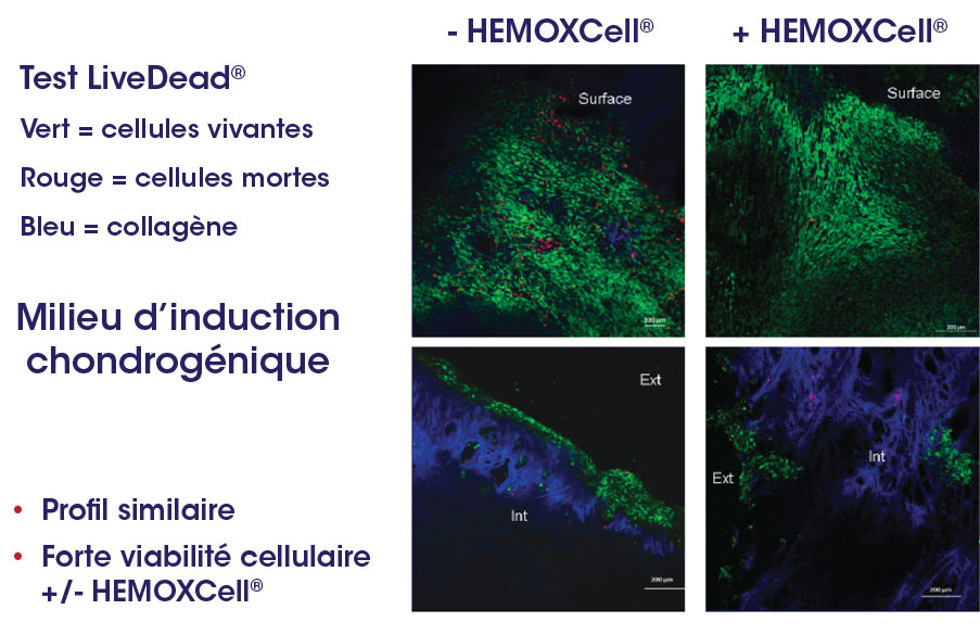 HEMOXCell®