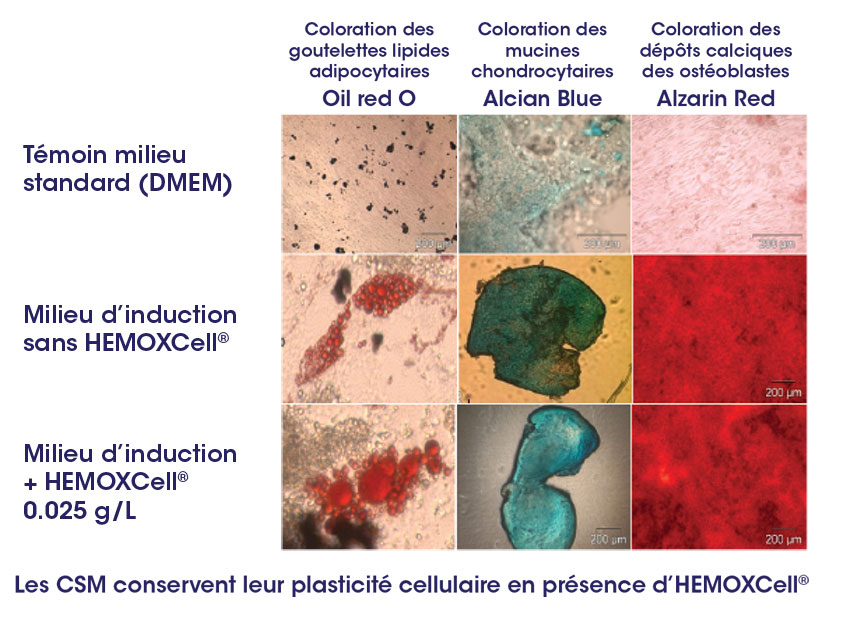 HEMOXCell®