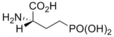 L-AP4 | Group III mGlu receptor agonist | Hello Bio