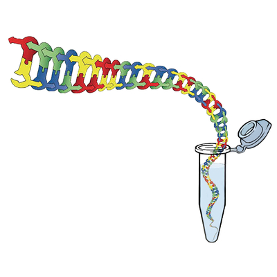 Biotechnology Kit©