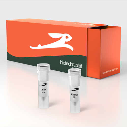 RTS DnaK Supplement - 5 reactions of 1 ml