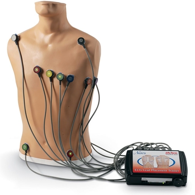Life/form® 15-Lead ECG Placement Trainer