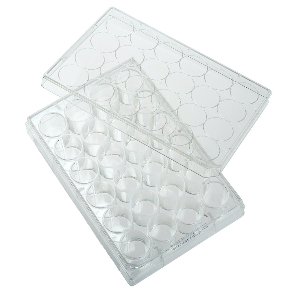 24 Well Tissue Culture Plate with Lid, Individual, Sterile