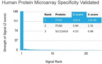 Analysis of HuProt(TM) microarray containing more than 19,000 full-length human proteins using Intelectin 1 antibody (clone ITLN1/4061). These results demonstrate the foremost specificity of the ITLN1/4061 mAb. Z- and S- score: The Z-score represents the strength of a signal that an antibody (in combination with a fluorescently-tagged anti-IgG secondary Ab) produces when binding to a particular protein on the HuProt(TM) array. Z-scores are described in units of standard deviations (SD's) above the mean value of all signals generated on that array. If the targets on the HuProt(TM) are arranged in descending order of the Z-score, the S-score is the difference (also in units of SD's) between the Z-scores. The S-score therefore represents the relative target specificity of an Ab to its intended target.