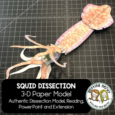 Scienstructable 3D Dissection Model®: Squid Paper Dissection