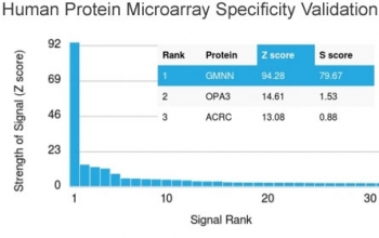 Analysis of HuProt(TM) microarray containing more than 19,000 full-length human proteins using Geminin antibody (clone CPTC-GMNN-1). These results demonstrate the foremost specificity of the CPTC-GMNN-1 mAb.<BR>Z- and S- score: The Z-score represents the strength of a signal that an antibody (in combination with a fluorescently-tagged anti-IgG secondary Ab) produces when binding to a particular protein on the HuProt(TM) array. Z-scores are described in units of standard deviations (SD's) above the mean value of all signals generated on that array. If the targets on the HuProt(TM) are arranged in descending order of the Z-score, the S-score is the difference (also in units of SD's) between the Z-scores. The S-score therefore represents the relative target specificity of an Ab to its intended target.