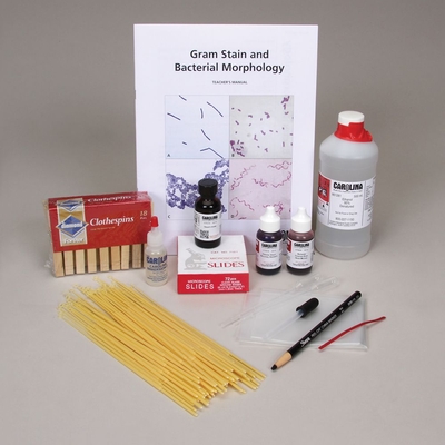 Gram Stain and Bacterial Morphology Kit (with prepaid coupon)