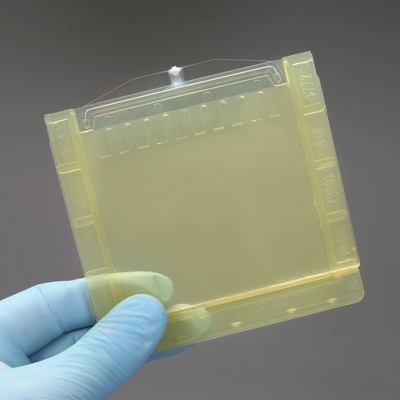 Precast Polyacrylamide Gel
