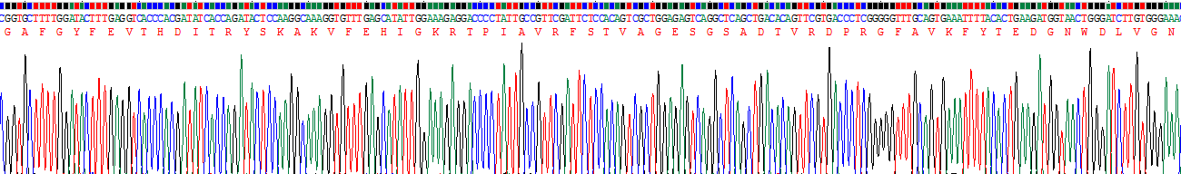 Figure. Gene Sequencing (extract)
