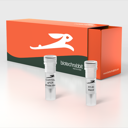 4X CAPITAL™ 1-Step qRT-PCR Probe Master Mix - 4000 reactions of 20 µl