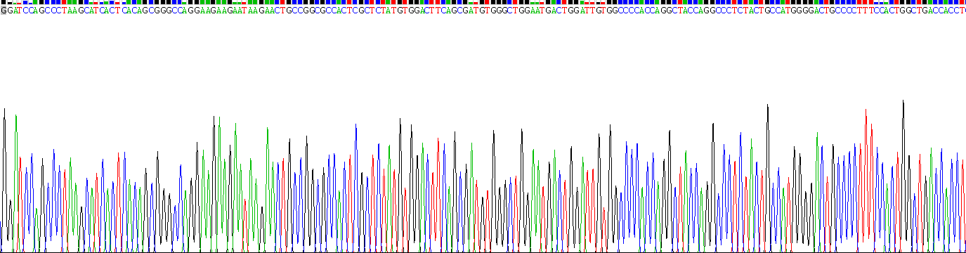 Figure. Gene Sequencing (extract)