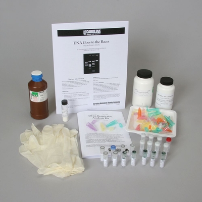 DNA Restriction Analysis Kit with CarolinaBLU® Perishables Refill