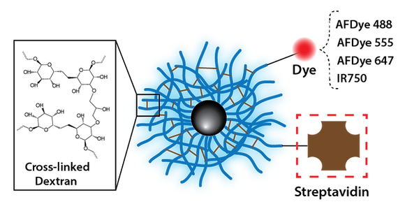 Gold Nanoparticles - Protein G, 4 nm, AFDye 647, 1 mL