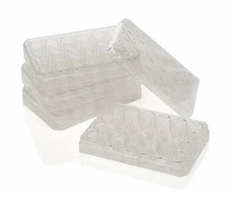 Thermo Scientific™ Nunc™ Polycarbonate Cell Culture Inserts in Multi-Well Plates