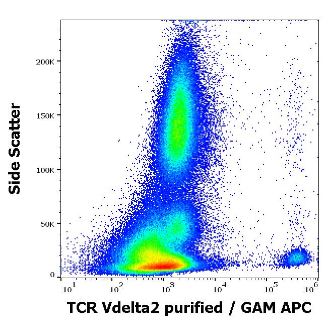 Anti-TCR V delta 2 Antibody [B6]
