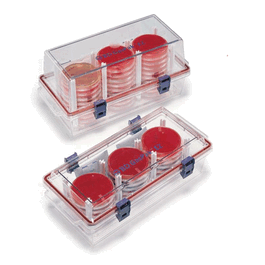 GasPak® EZ Standard Incubation Container