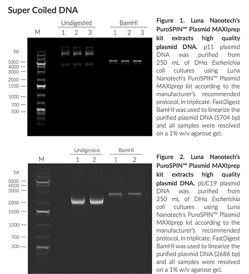 PuroMAG™ Viral DNA and RNA Purification Kit, Magnetic, 96 Preps