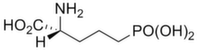 D-AP5 | AP5, D-APV | NMDA receptor antagonist | Hello Bio