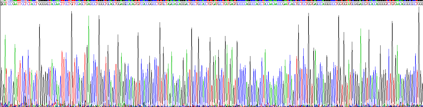 Figure. Gene Sequencing (extract)