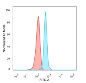 FACS staining of PFA-fixed human HeLa cells with NACC1 antibody (blue, clone PCRP-NACC1-1A8), and unstained cells (red).