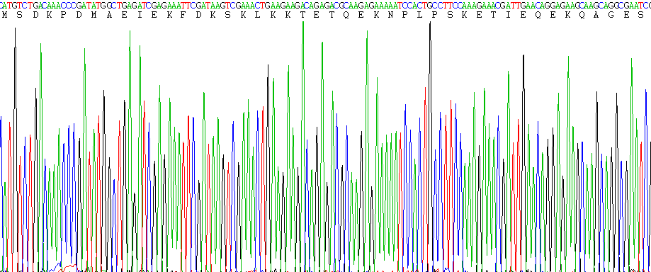 Figure. Gene Sequencing (extract)