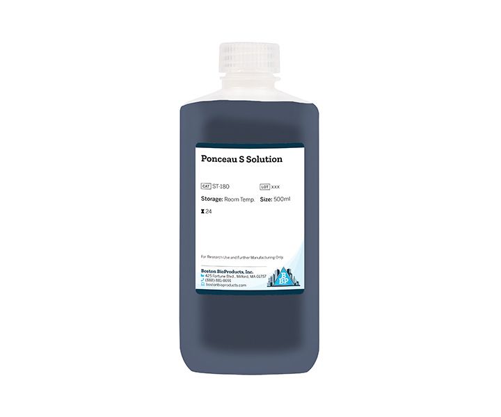 Ponceau S Solution (ST-180) - Bottle