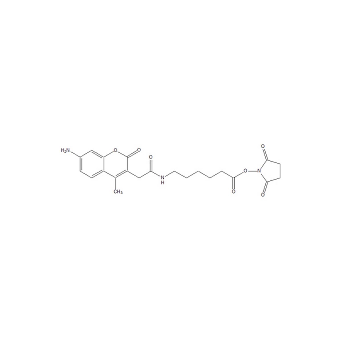 AMCA-X, SE [6-((7-Amino-4-methylcoumarin-3-acetyl)amino)hexanoic acid, SE] - 10 mg