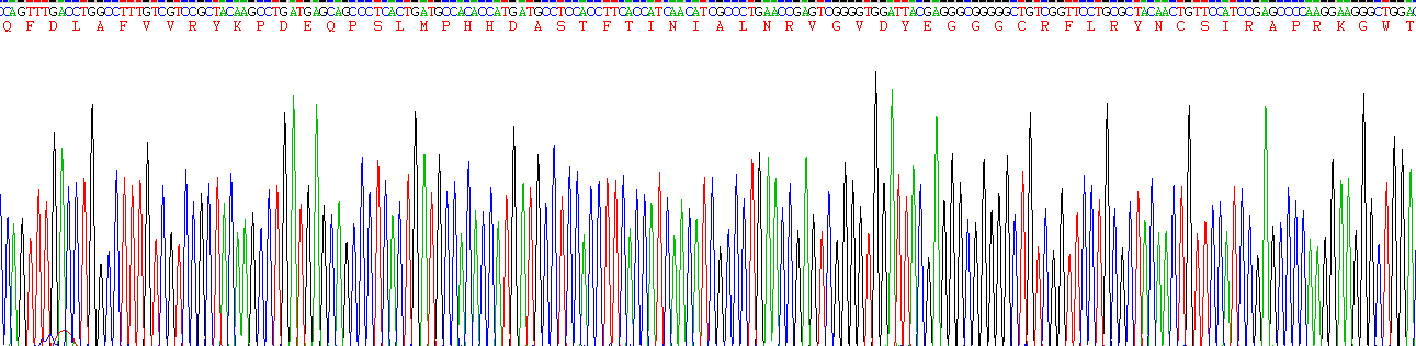 Figure. Gene Sequencing (extract)