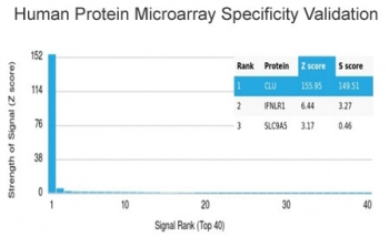 Analysis of HuProt(TM) microarray containing more than 19,000 full-length human proteins using Clusterin antibody (clone CLU/4730). These results demonstrate the foremost specificity of the CLU/4730 mAb. Z- and S- score: The Z-score represents the strength of a signal that an antibody (in combination with a fluorescently-tagged anti-IgG secondary Ab) produces when binding to a particular protein on the HuProt(TM) array. Z-scores are described in units of standard deviations (SD's) above the mean value of all signals generated on that array. If the targets on the HuProt(TM) are arranged in descending order of the Z-score, the S-score is the difference (also in units of SD's) between the Z-scores. The S-score therefore represents the relative target specificity of an Ab to its intended target.