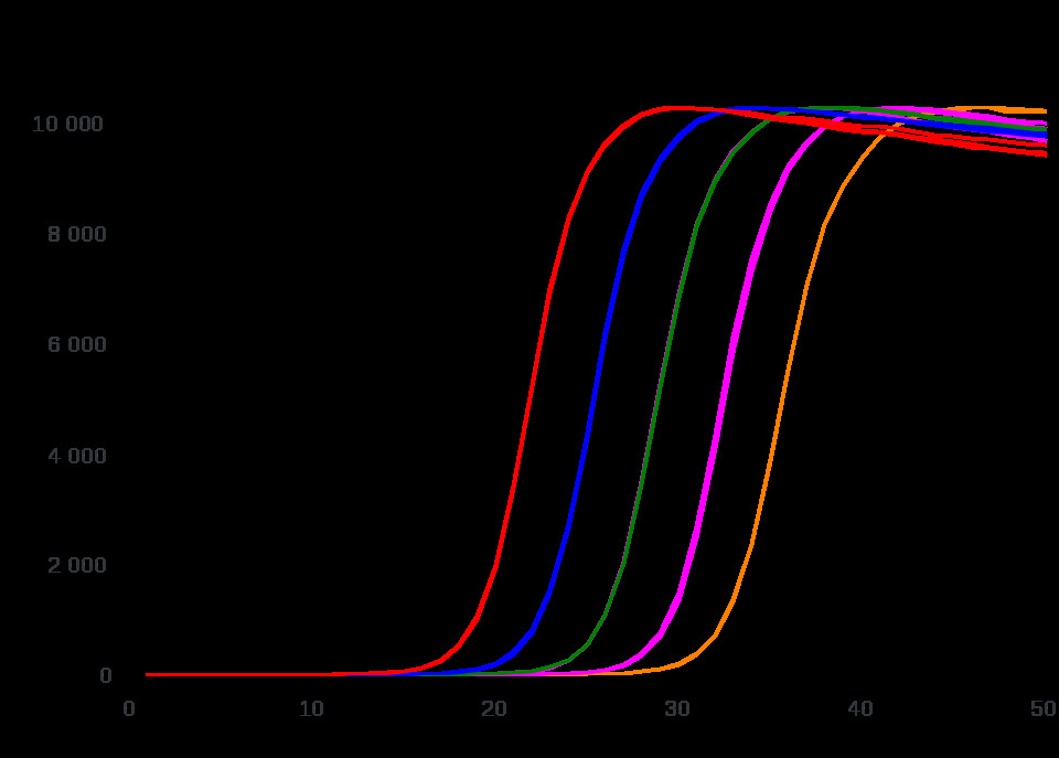 dsGreen for Real-Time PCR