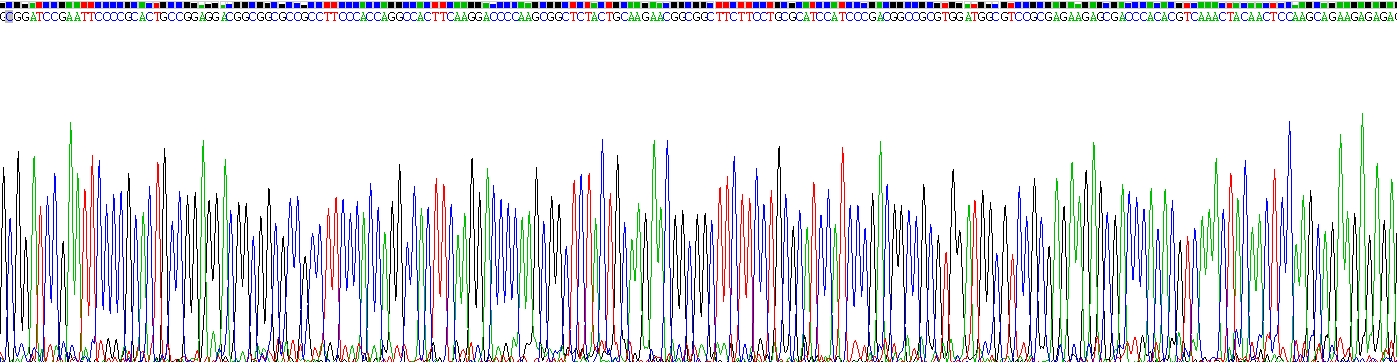 Figure. Gene Sequencing (extract)