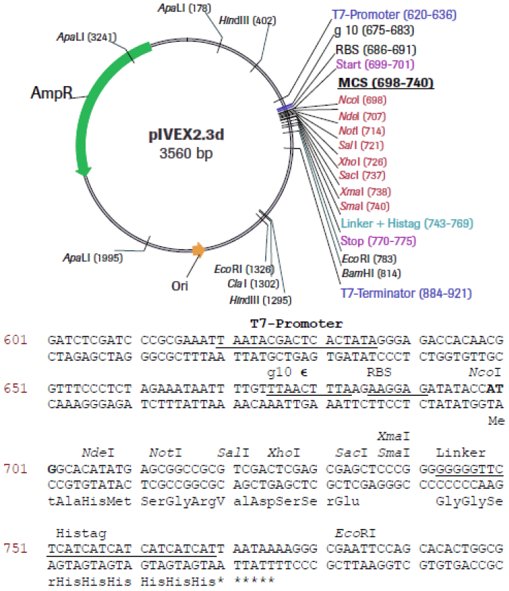 RTS pIVEX E. coli His-tag, 2nd Gen. Vector Set - 2 vectors