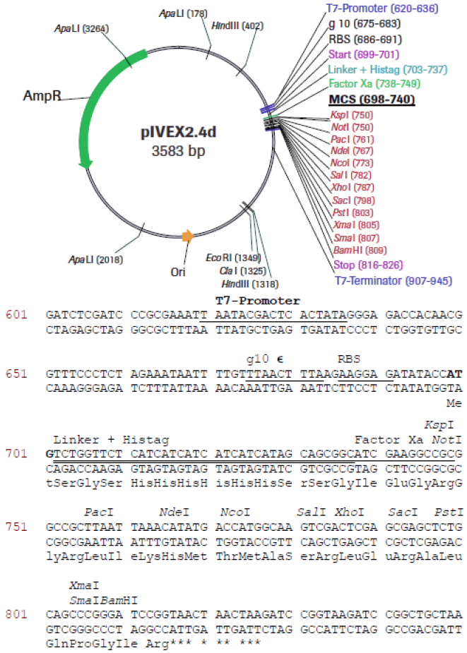 RTS pIVEX E. coli His-tag, 2nd Gen. Vector Set - 2 vectors