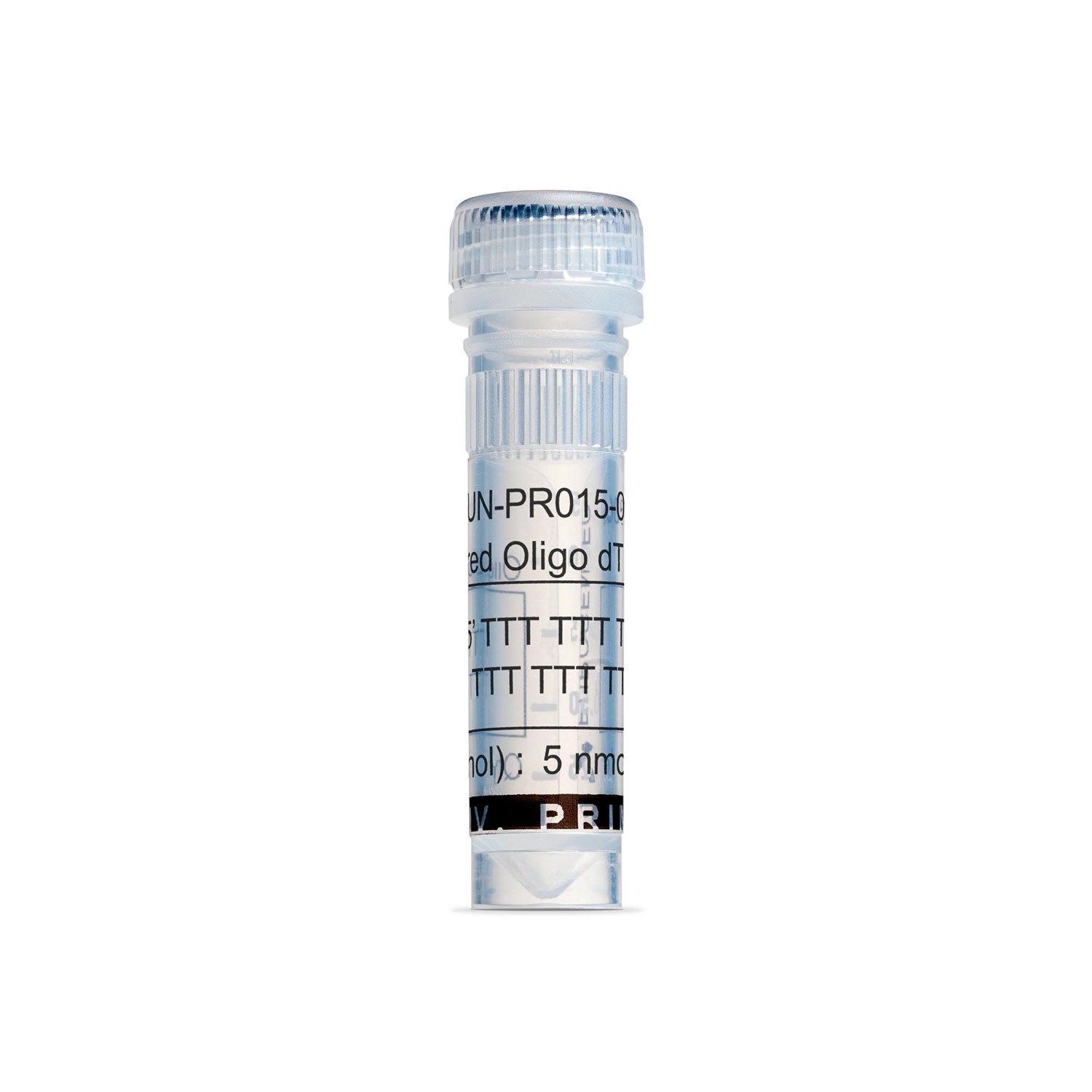 Anchored Oligo dT (20) - 5 nmol
