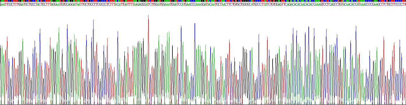 Figure. Gene Sequencing (extract)