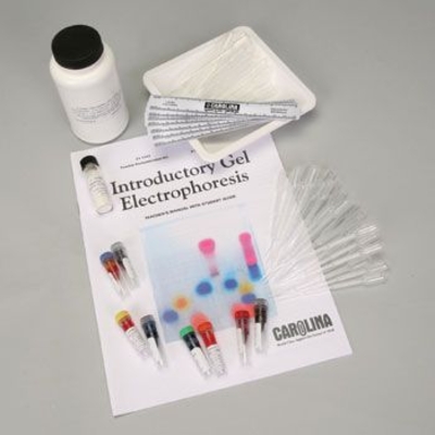 Introductory Gel Electrophoresis 8-Station Student Kit