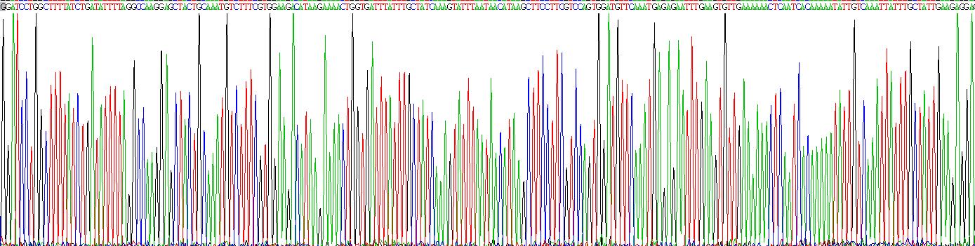 Figure. Gene Sequencing (extract)
