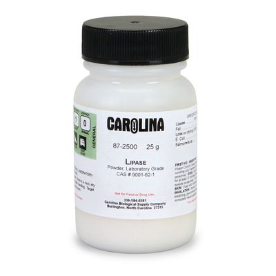 Lipase, Laboratory Grade, 25 g