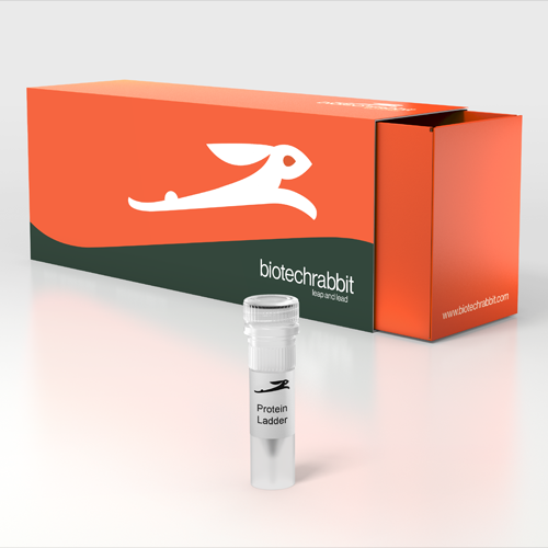 TriColor Broad Protein Ladder (3.5-245 kDa) - 100 applications