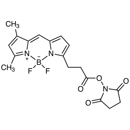 BDP FL NHS Ester, CAS RN: 146616-66-2, Product Number: D5555